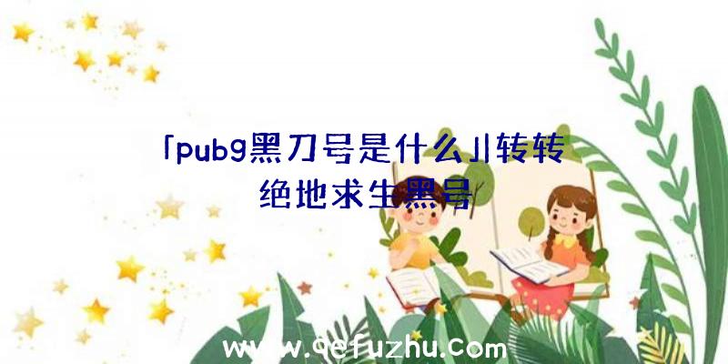 「pubg黑刀号是什么」|转转绝地求生黑号